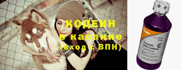 хмурый Богородск