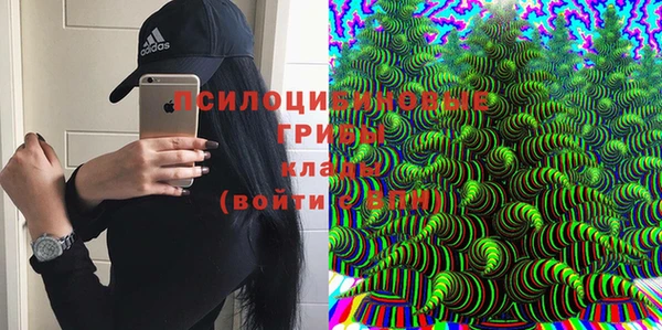 спайс Богородицк
