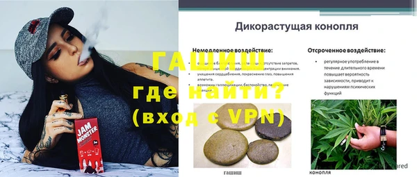 PSILOCYBIN Беломорск