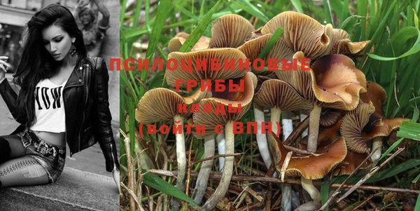 PSILOCYBIN Беломорск